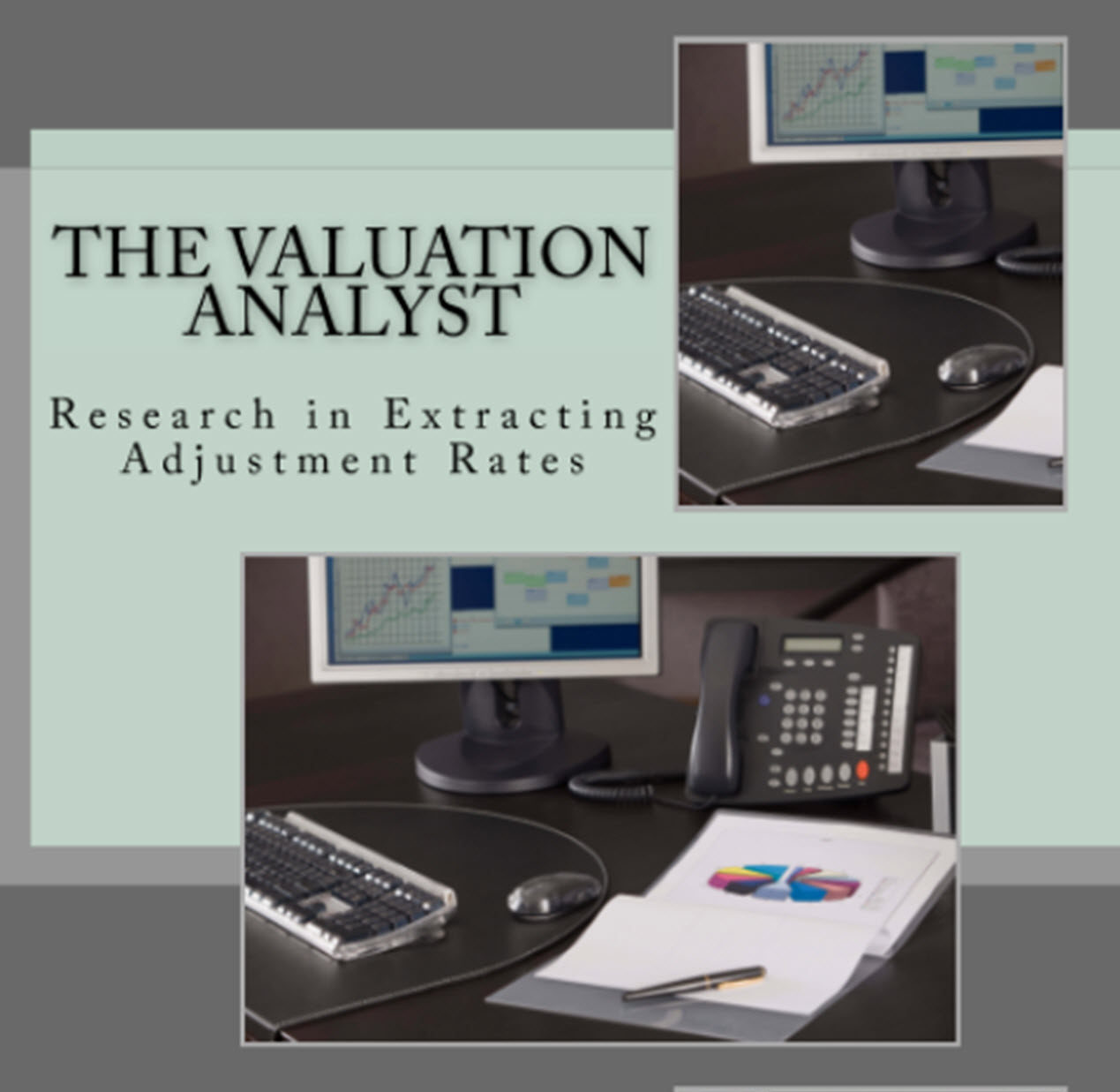 The Valuation Analyst
